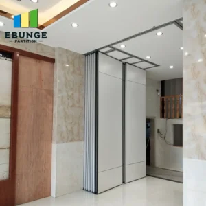 partition wall system for hospital consultation space