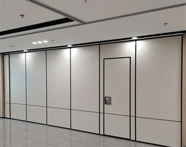 Installed movable partition wall panels with a pass-door opening